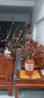 Đỗ Xuân Dự