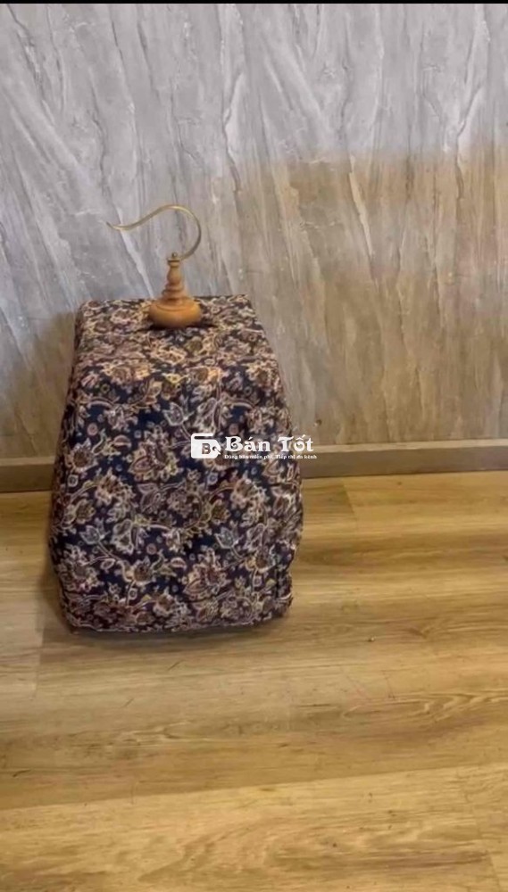 lồng chào mào sin đấu fom cao