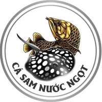 Cá Sam Nước Ngọt