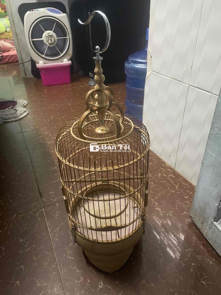 Cần Bán Lòng, Không Nuôi Nữa, Chia Lại Cho Anh Em Cần Sử Dụng