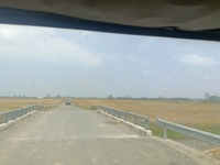 Nguyễn Vương 