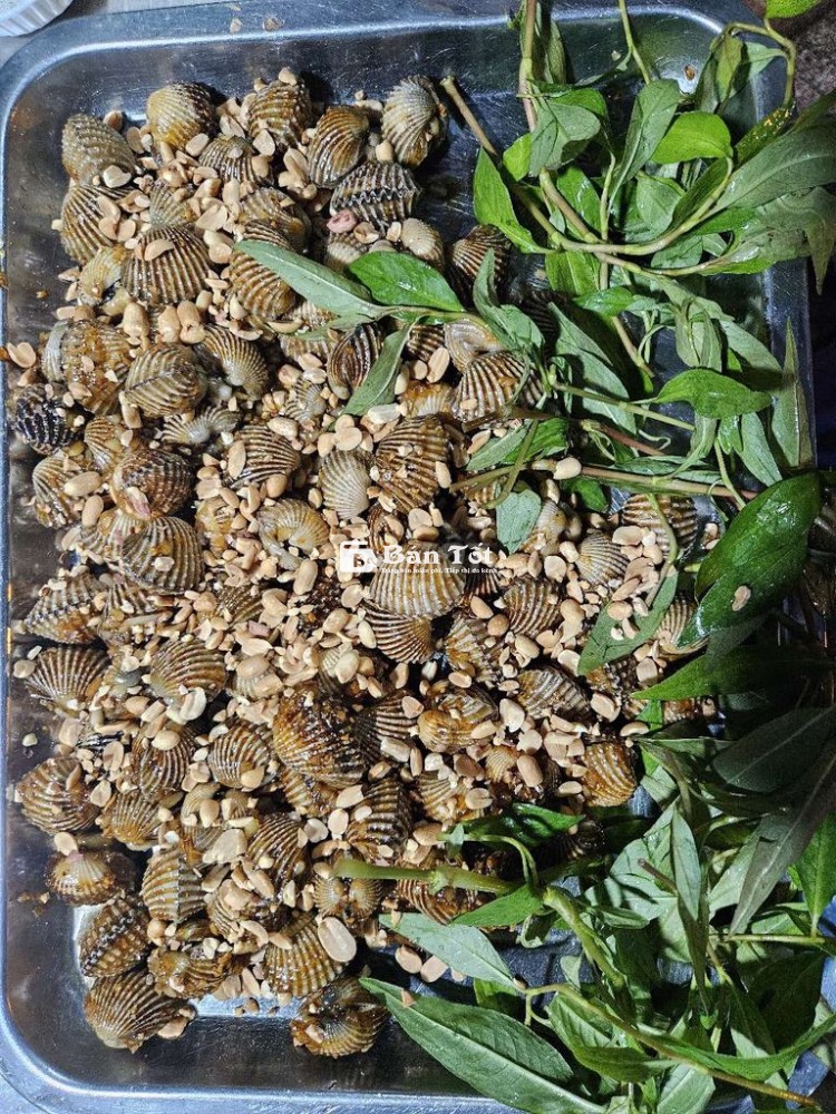 Tuyển Rửa Chén & Phụ Tạp Vụ Quán Ốc