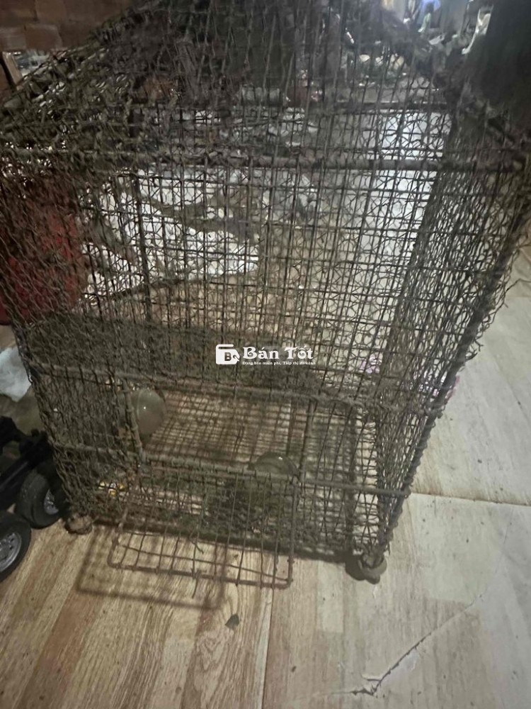 Cần bán chuồng chó & chuồng chim giá rẻ