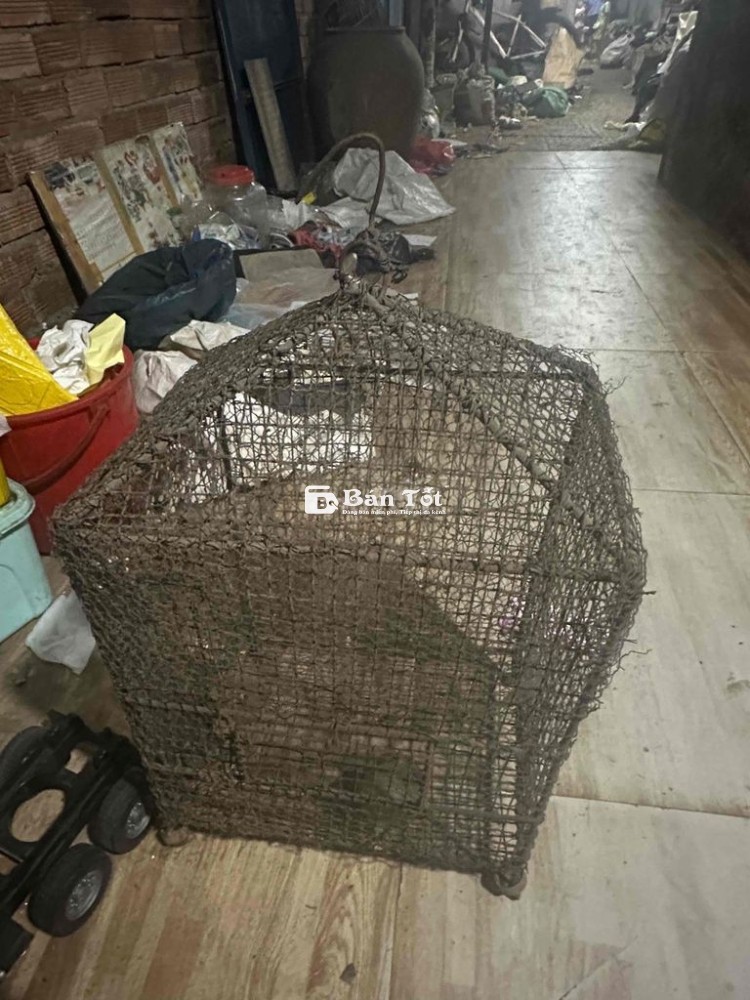 Cần bán chuồng chó & chuồng chim giá rẻ