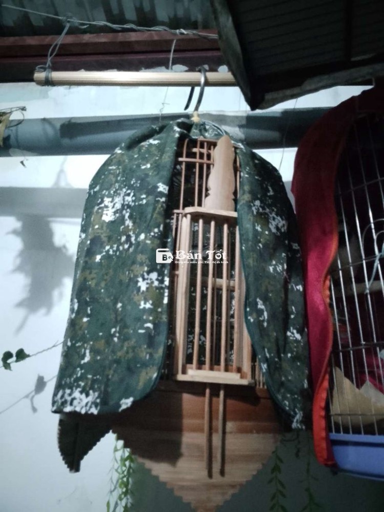Có cái lồng my mới mua 380k quán h bán 3l m
