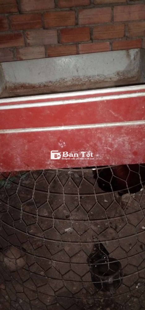 Thanh lý ba khây sắt 60 vuông còn cứng cáp