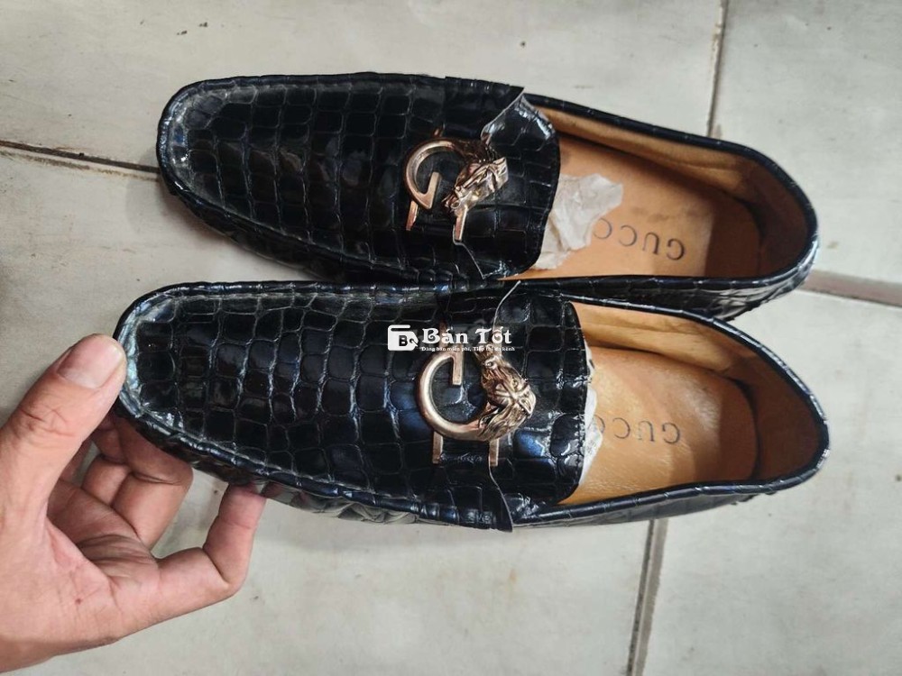 Cần Bán Đôi Giày Gucci Size 42  
