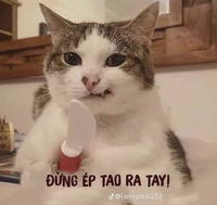 Khanh