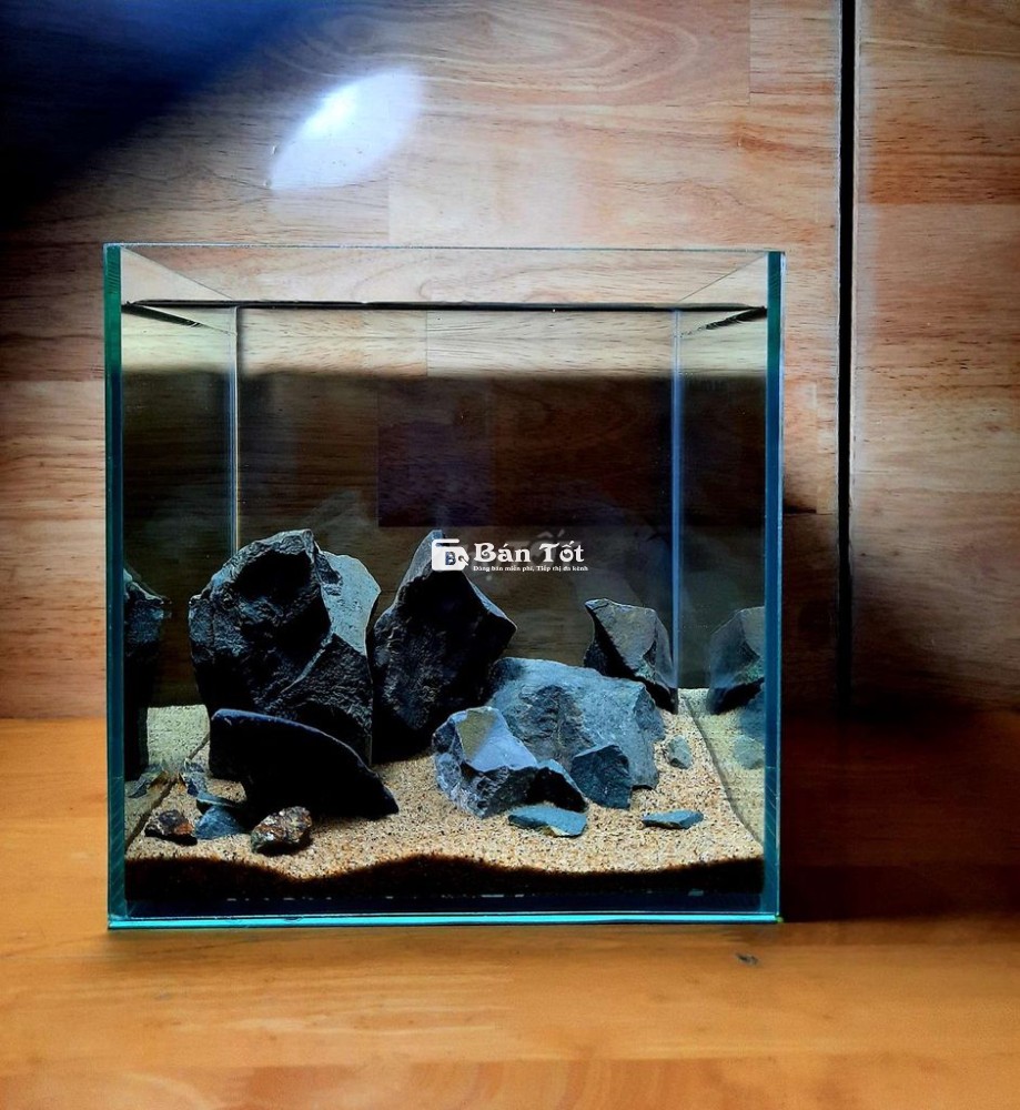 Hồ cá để bàn 🌷 KT 20x20x20