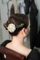 Hồ Mai Phượng