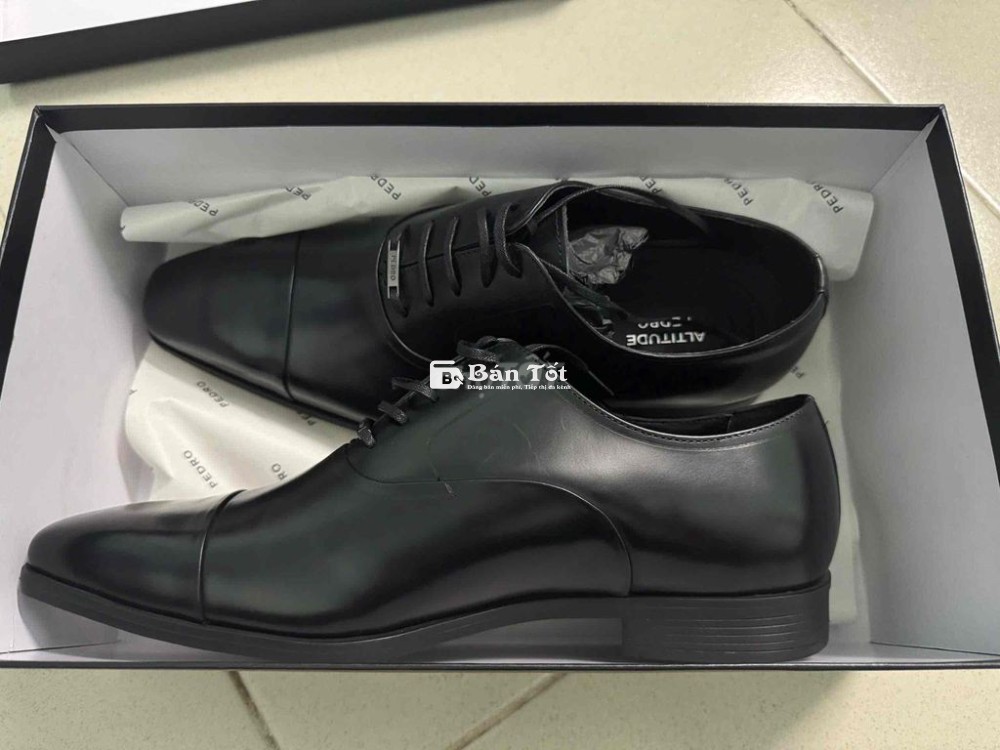 Giày PEDRO Size 42 - Giảm Từ 3.3 Triệu Còn 2.5 Triệu  