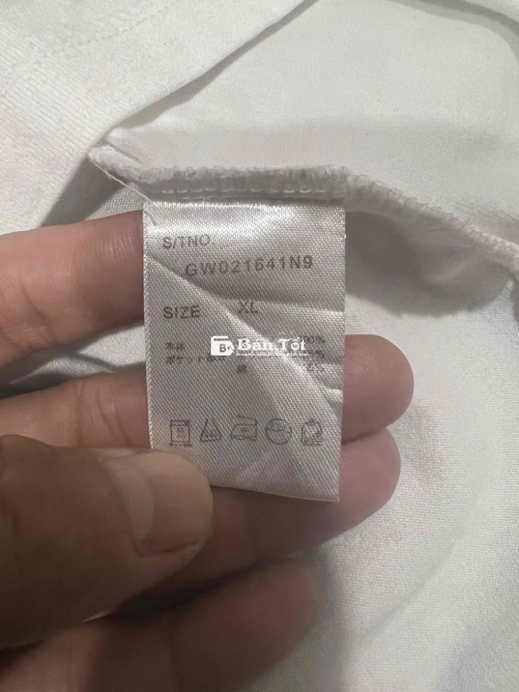 Áo thun Global Work sz XL