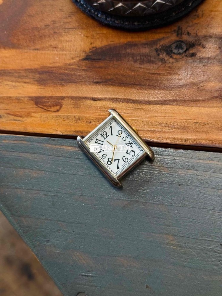TANK NHẬT PIN - 25x33,5mm ( dây 18mm )