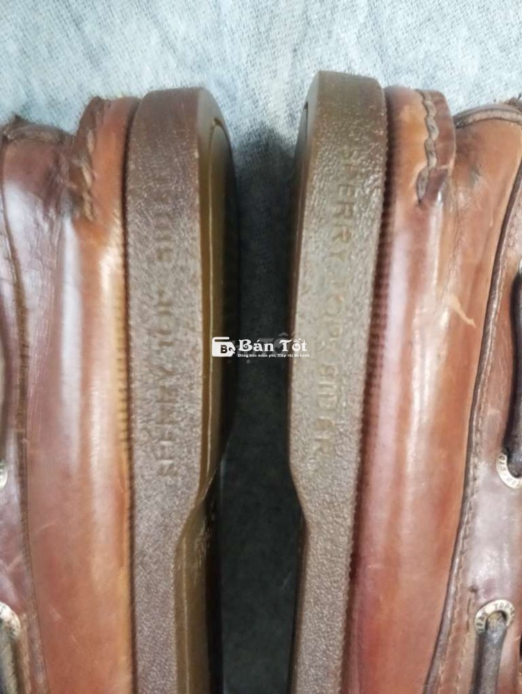 Giày da mọi Sperry