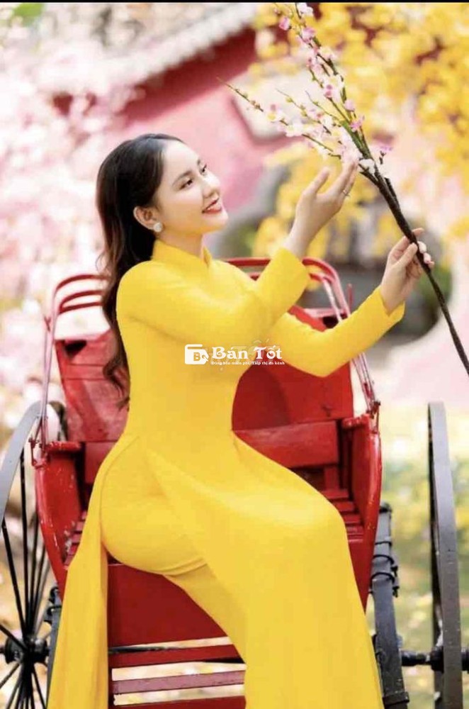 Áo Dài 4 Tà - Cực Đẹp, Mặc 1 Lần, Pass Giá Tốt!