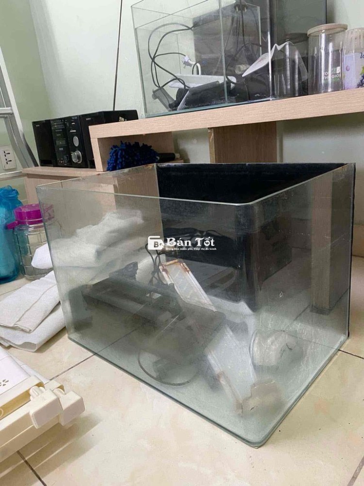 Thanh lí combo hồ, đèn, lọc