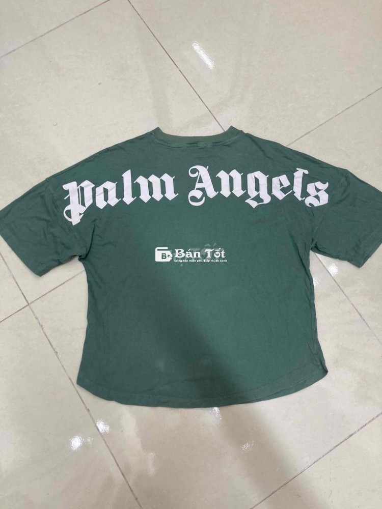 🎯  THUN PALM ALGELS 🌷