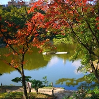 Đoàn Hội