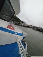 Tân