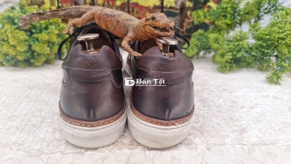 190.6 S.T DUPONT sneaker.