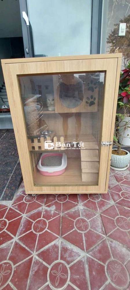 Chuyển cả mèo và chuồng mèo