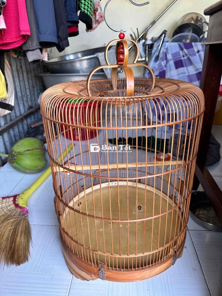 lồng chim choè than,chào mào