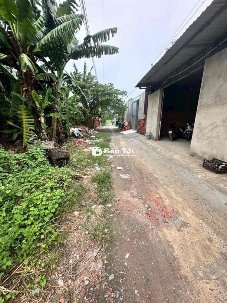 KHO XƯỞNG TX31 (SẴN 3 FA). ĐƯỜNG XE TẢI  