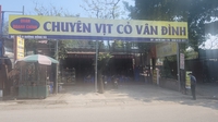 Thinh OLed