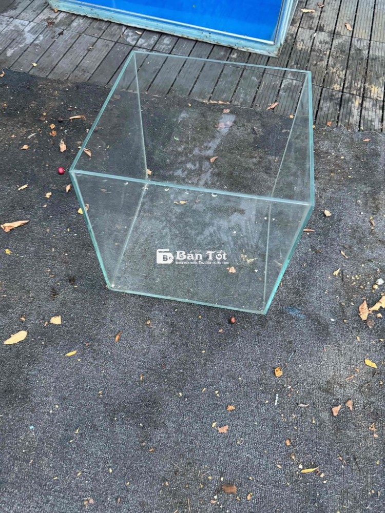 Bán 3 hồ cá cảnh